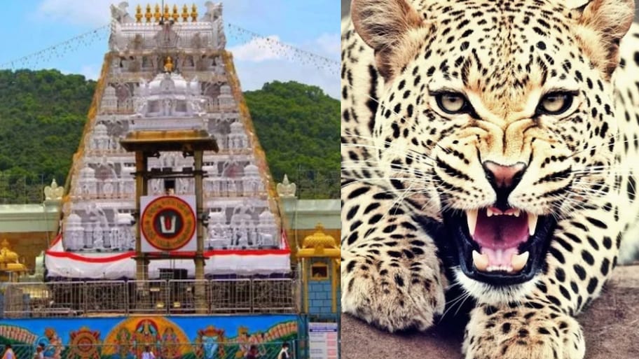 Tirumala: తిరుమల కొండపై మరోసారి చిరుత సంచారం.. ఆందోళన వ్యక్తం చేస్తున్న భక్తులు..