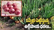 కన్నీళ్లు పెట్టిస్తున్న ఉల్లిపాయ ధరలు.. వచ్చే వారంలో కిలోకు రూ.100?