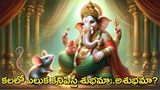 Mouse In Dream Hindu: వినాయక చవితి రోజు ఎలుక కనిపిస్తే శుభమా? జ్యోతిష్య శాస్త్రం ఏం చెబుతోంది?