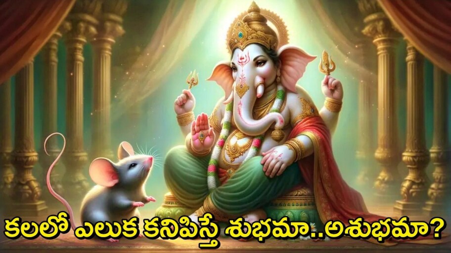 Mouse In Dream Hindu: వినాయక చవితి రోజు ఎలుక కనిపిస్తే శుభమా? జ్యోతిష్య శాస్త్రం ఏం చెబుతోంది?