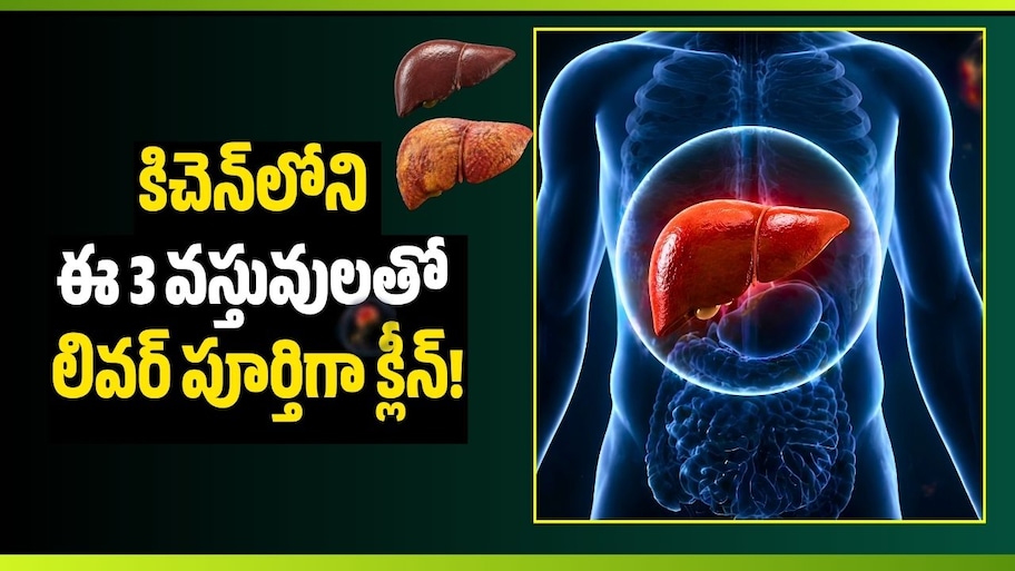 Liver Detox Tips: వేలకు వేలు ఖర్చు అక్కర్లేదు.. కిచెన్‌లోని ఈ 3 వస్తువులతో లివర్ పూర్తిగా క్లీన్!