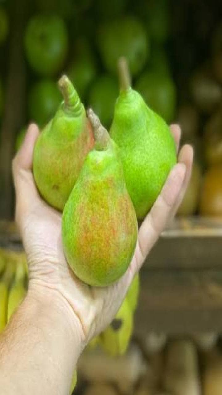  Green Pears: మలబద్ధకం వేధిస్తోందా.. ఈ పండు తొక్కతో సహా తింటే మంచి ఫలితం కనిపించొచ్చు..!