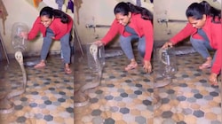 Snakes Video: బాప్ రే.. బుసలు కొడుతున్న పామును సింగిల్ గా పట్టుకున్న యువతి.. వీడియో..