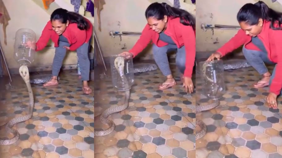 Snakes Video: బాప్ రే.. బుసలు కొడుతున్న పామును సింగిల్ గా పట్టుకున్న యువతి.. వీడియో..