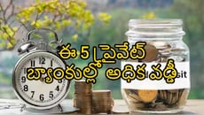 బ్యాంకుల్లో ఎఫ్‌డీ చేయాలా? ఈ 5 ప్రైవేట్ బ్యాంకుల్లో అధిక వడ్డీ.. పూర్తి వివరాలు ఇవే!
