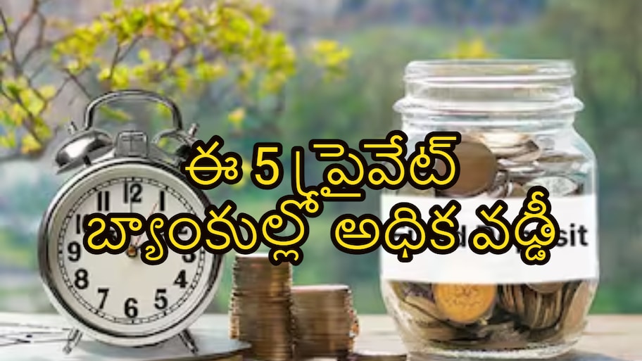 బ్యాంకుల్లో ఎఫ్‌డీ చేయాలా? ఈ 5 ప్రైవేట్ బ్యాంకుల్లో అధిక వడ్డీ.. పూర్తి వివరాలు ఇవే!