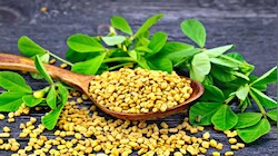 Fenugreek: డయాబెటిస్ ఉన్నవారు ఈ పొడి తీసుకుంటే షుగర్ కంట్రోల్‌కు 90% గ్యారెంటీ..!