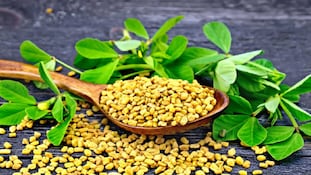 Fenugreek: డయాబెటిస్ ఉన్నవారు ఈ పొడి తీసుకుంటే షుగర్ కంట్రోల్‌కు 90% గ్యారెంటీ..!