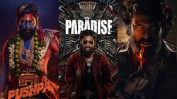 పెద్ది, ప్యారడైజ్, పుష్ప ఈ మూడు సినిమాల్లో ఉన్న పోలిక ఇదే.. 