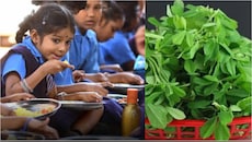 Maharashtra School: లంచ్ బాక్స్‌లో మెంతికూర తెచ్చినందుకు జరిమాన..  మహారాష్ట్రలోని స్కూల్లో వింత ఘటన.. మ్యాటర్ ఏమిటంటే..?..