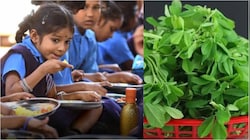 Maharashtra School: లంచ్ బాక్స్‌లో మెంతికూర తెచ్చినందుకు జరిమాన..  మహారాష్ట్రలోని స్కూల్లో వింత ఘటన.. మ్యాటర్ ఏమిటంటే..?..