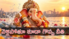 Ganesh Visarjan: గణనాథుడిని ఎందుకు నిమజ్జనం చేస్తారు? దీని వెనుక రహాస్యం