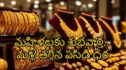మహిళలకు అదిరిపోయే శుభవార్త.. ఆ ఒక్క కారణంతో మళ్లీ పడిపోతున్న బంగారం ధర.. సెప్టెంబర్ 25వ తేదీ ధరలివే..!!