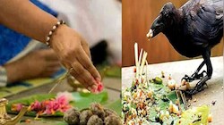 పితృ పక్షంలో ఈ పనులు చేస్తే ఇంట్లో దరిద్రం చుట్టుముడుతుందా? తప్పక తెలుసుకోండి!