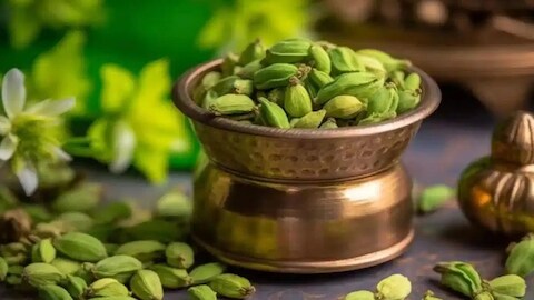 Cardamom Benefits: యాలుకలు రోజూ తింటున్నారా... జీర్ణక్రియ నుంచి చర్మం, జుట్టు వరకు ఎన్నో ప్రయోజనాలు!