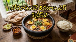 బ్యాచిలర్స్ కూడా ఈజీగా చేసేయొచ్చు.. నోరూరించే 5 రకాల ఎగ్ కర్రీస్..ట్రై చేశారంటే వదలకుండా తింటారు!