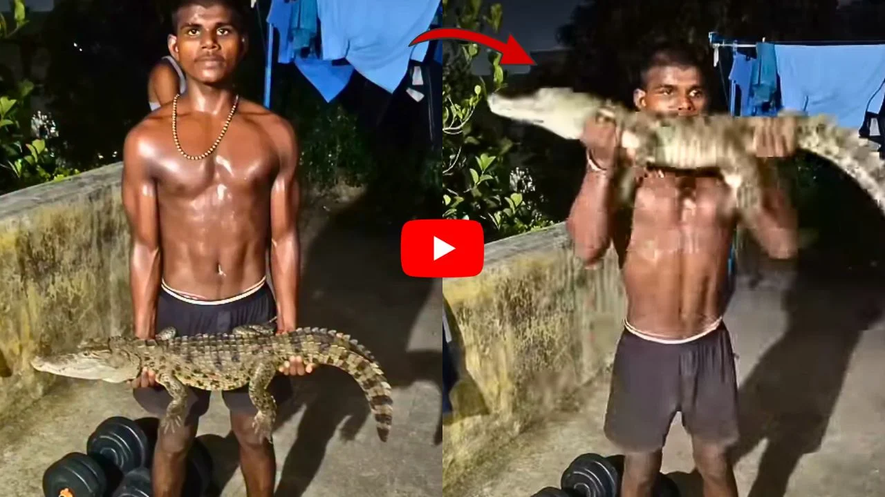 అసలేం ధైర్యంరా బాబూ.. మొసలి పిల్లను ఎత్తి జిమ్ చేసిన యువకుడు!