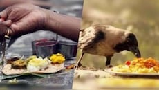 మహాలయ పక్షంలో పిండ ప్రధానాలు ఎందుకు చేయాలి..?  పితృ పక్షం ప్రత్యేకత ఏమిటంటే..!