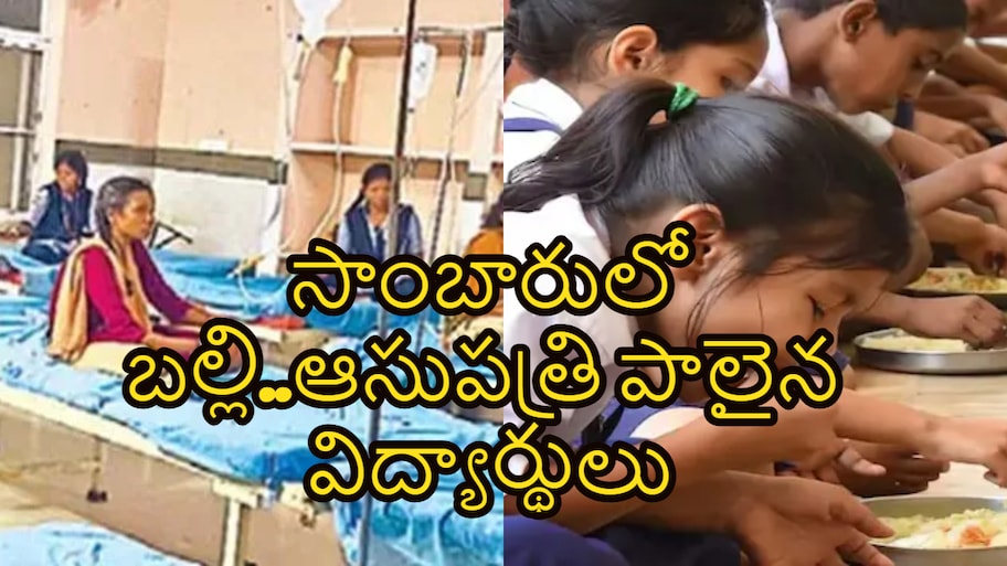 సాంబారులో బల్లి.. 19 మంది విద్యార్థినులు ఆసుపత్రికి తరలింపు! 
