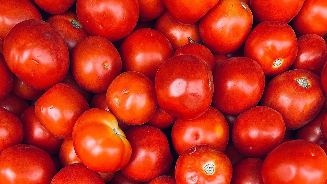 Tomatoes