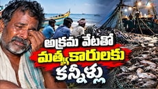 Kakinada Fishermen: కాకినాడ సముద్రంలో అక్రమ వేట.. సాంప్రదాయ మత్స్యకారుల బతుకులు బుగ్గిపాలు..!