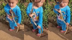Snake Video: వ్యూస్ కోసం మరీ ఇంత దిగజారాలా..?.. బుడ్డొడి చేతికి పాము ఇచ్చి మరీ రీల్స్.. షాకింగ్ వీడియో..