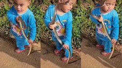 Snake Video: వ్యూస్ కోసం మరీ ఇంత దిగజారాలా..?.. బుడ్డొడి చేతికి పాము ఇచ్చి మరీ రీల్స్.. షాకింగ్ వీడియో..