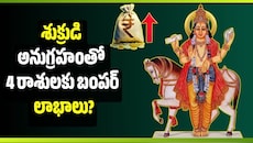 శుక్రుడి అనుగ్రహంతో 4 రాశులకు బంపర్ లాభాలు? ఉద్యోగం, వ్యాపారంలో కొత్త అవకాశాలు!