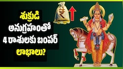 శుక్రుడి అనుగ్రహంతో 4 రాశులకు బంపర్ లాభాలు? ఉద్యోగం, వ్యాపారంలో కొత్త అవకాశాలు!