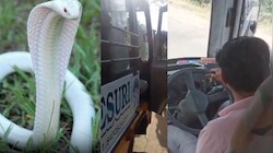 Rajasthan: వామ్మో.. స్కూల్ బస్సులో శ్వేత నాగు కలకలం.!.  భయపడిపోయిన విద్యార్థులు.!.