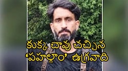 ఇండియన్ ఆర్మీ చేతిలో ఖతమ్..పీర్ పంజాల్‌ను భయపెట్టిన హషీమ్ మూసా బ్యాక్‌గ్రౌండ్ వింటే షాక్ అవ్వాల్సిందే..!!
