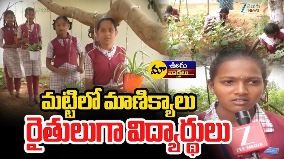 Students Organic Farming: సర్కారు బడిలో చదువు.. తోటలో వ్యవసాయం.. ఆదర్శంగా ఫత్తేపూర్ స్కూల్..!