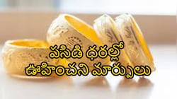  ఈ రోజు Gold కొనొచ్చా? నేటి పసిడి ధరల్లో ఊహించని మార్పులు.. తులం బంగారం ఎంతంటే?
