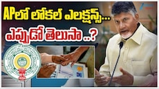AP High Court On Elections: స్థానిక సంస్థల ఎన్నికలపై ఏపీ హైకోర్టు సంచలన తీర్పు..6 వారాల్లో ఎన్నికలు పూర్తి చేయాల్సిందే!