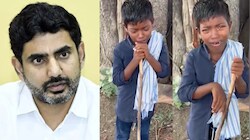 Nara lokesh: గొర్రెల కాపరిగా బాలుడు.. ఎక్స్ వేదికగా  శుభవార్త చెప్పిన ఏపీ మంత్రి నారా లోకేష్.!..
