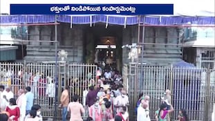 తిరుమల భక్తుల రద్దీ, శ్రీవారి సర్వదర్శనం సమయం, టీటీడీ వీఐపీ లేఖల రద్దు, తిరుమల క్యూలైన్లు అప్‌డేట్‌