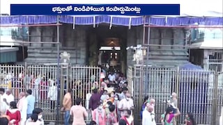 తిరుమల భక్తుల రద్దీ, శ్రీవారి సర్వదర్శనం సమయం, టీటీడీ వీఐపీ లేఖల రద్దు, తిరుమల క్యూలైన్లు అప్‌డేట్‌