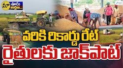 Paddy Price Today: వరికి అదిరిపోయే ధర.. పచ్చి ధాన్యానికే క్వింటాకు రూ.3,025