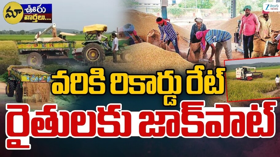 Paddy Price Today: వరికి అదిరిపోయే ధర.. పచ్చి ధాన్యానికే క్వింటాకు రూ.3,025