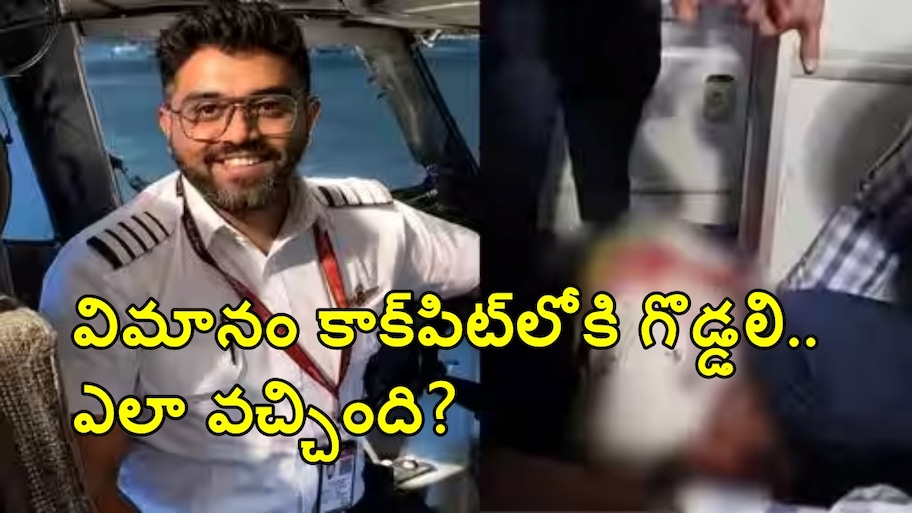 కాక్‌పిట్‌లోకి గొడ్డలి ఎలా వచ్చింది? ఇండియన్ పైలట్‌పై దాడి కేసులో సంచలన విషయాలు వెలుగులోకి!