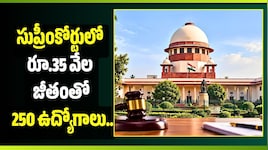 సుప్రీంకోర్టులో రూ.35 వేల జీతంతో 250 ఉద్యోగాలు.. డిగ్రీ అర్హతతోనే జాబ్.. పూర్తి వివరాలివే!