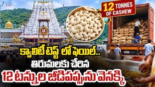 TTD Cashews Rejected: తిరుమలలో టీటీడీ కీలక నిర్ణయం..12 టన్నుల జీడిపప్పు వెనక్కి పంపేసింది!