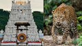 Tirumala: తిరుమలలో మరోసారి చిరుత కలకలం.. భక్తులకు టీటీడీ బిగ్ అలర్ట్.!.