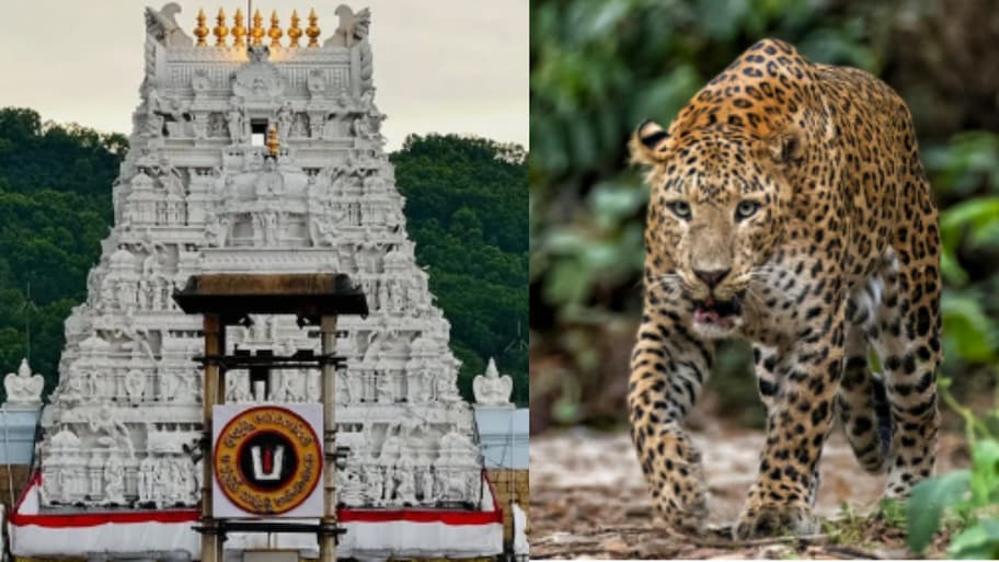 Tirumala: తిరుమలలో మరోసారి చిరుత కలకలం.. భక్తులకు టీటీడీ బిగ్ అలర్ట్.!.