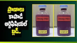ప్రాణాలు కాపాడే ఆర్టిఫిషియల్ బ్లడ్.. జపాన్ శాస్త్రవేత్తల అద్భుతమైన ప్రయోగం!