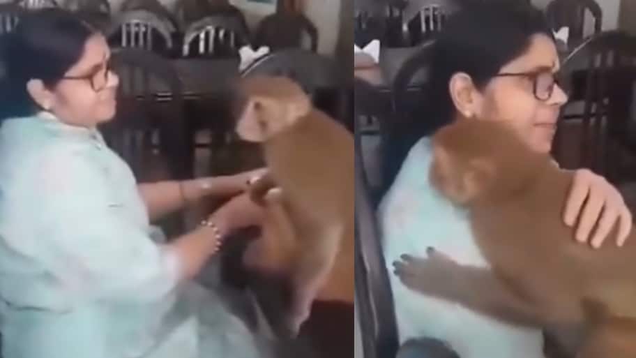 Video Viral: బద్రీనాథ్‌లో ‘హరే రామ’ భజన చేసిన మహిళ.. వానరం చేసిన పనికి అంతా షాక్.. వీడియో..