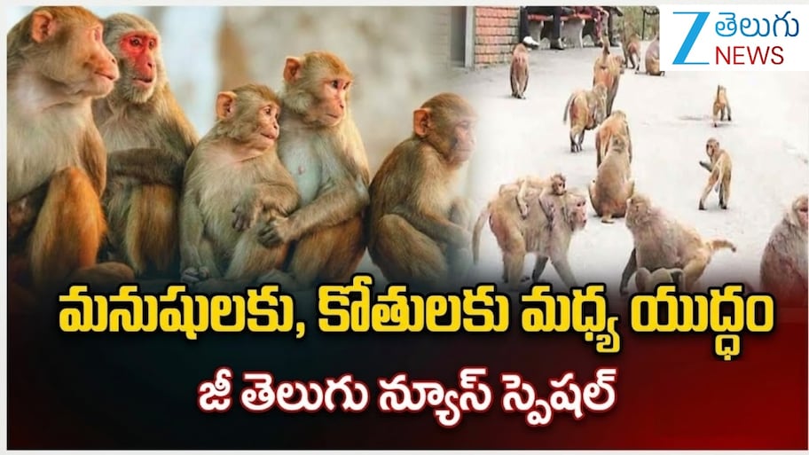 Telangana Monkey Attacks: కోతుల దండయాత్ర.. భయాందోళనలో పల్లెలు, పట్నాలు..!