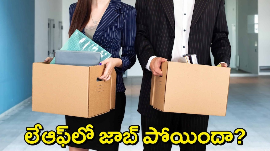 Financial Plan Layoff: ఐటీ ఉద్యోగులకు బిగ్ వార్నింగ్.. మీ జాబ్ పోయినా రోడ్డుపై పడకముందే ఈ ప్లాన్ చేయండి!