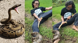 Giant Python Video: ఇదెక్కడి అరాచకం.. యువకుడిపై కొండ చిలువ దాడి.. మరీ ఆ స్పాట్ లో.!. వీడియో వైరల్..
