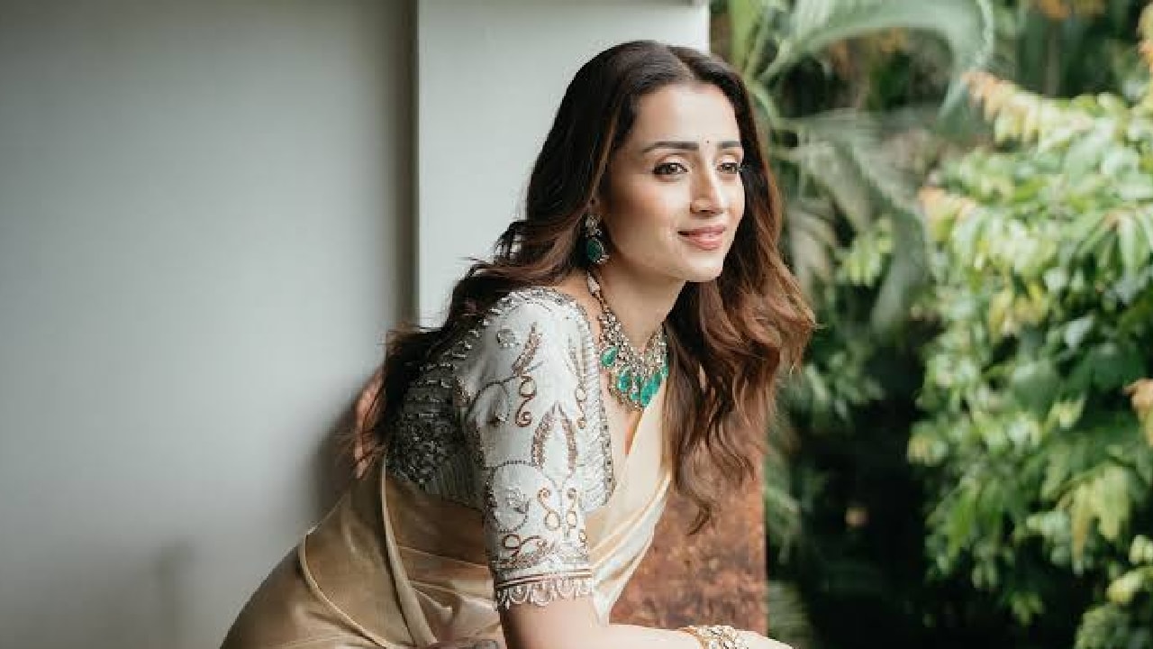 Vijay Trisha relationship rumours